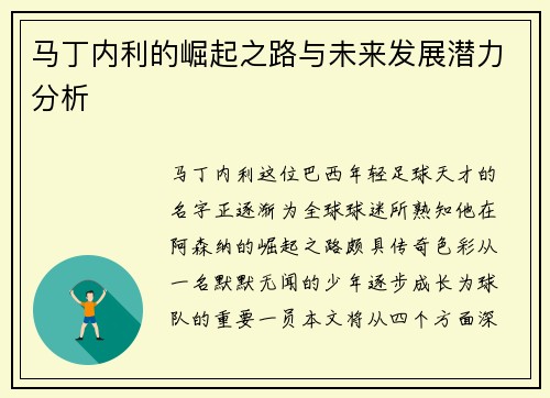 马丁内利的崛起之路与未来发展潜力分析