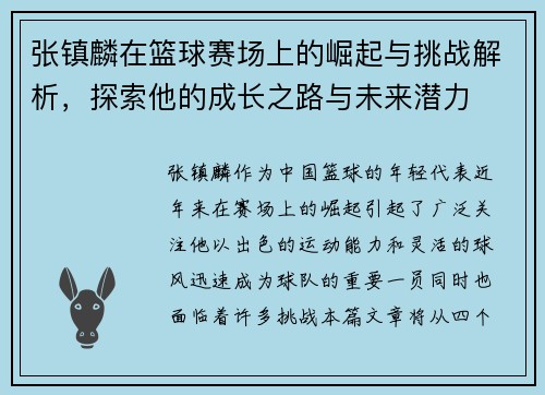 张镇麟在篮球赛场上的崛起与挑战解析，探索他的成长之路与未来潜力